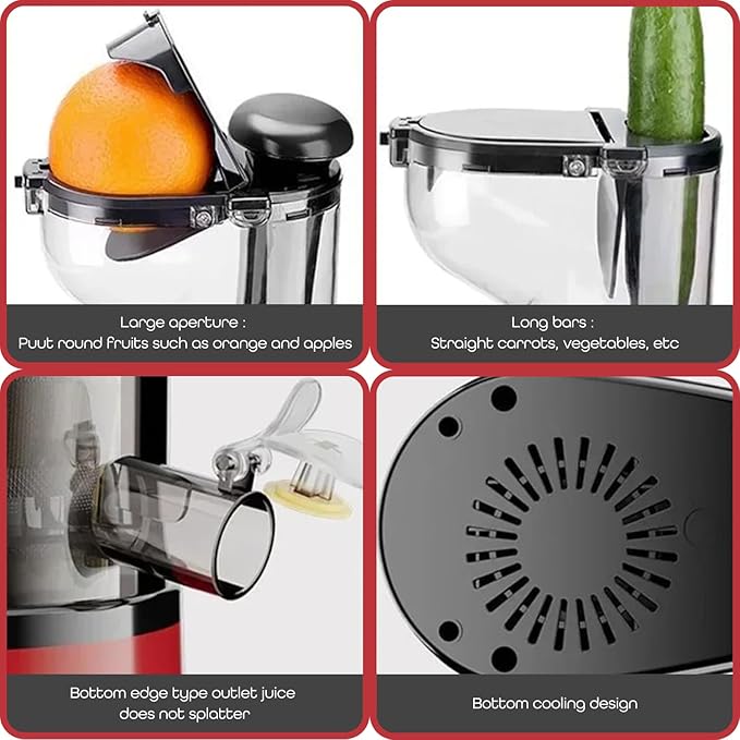 Akiara Cold Press Juicer